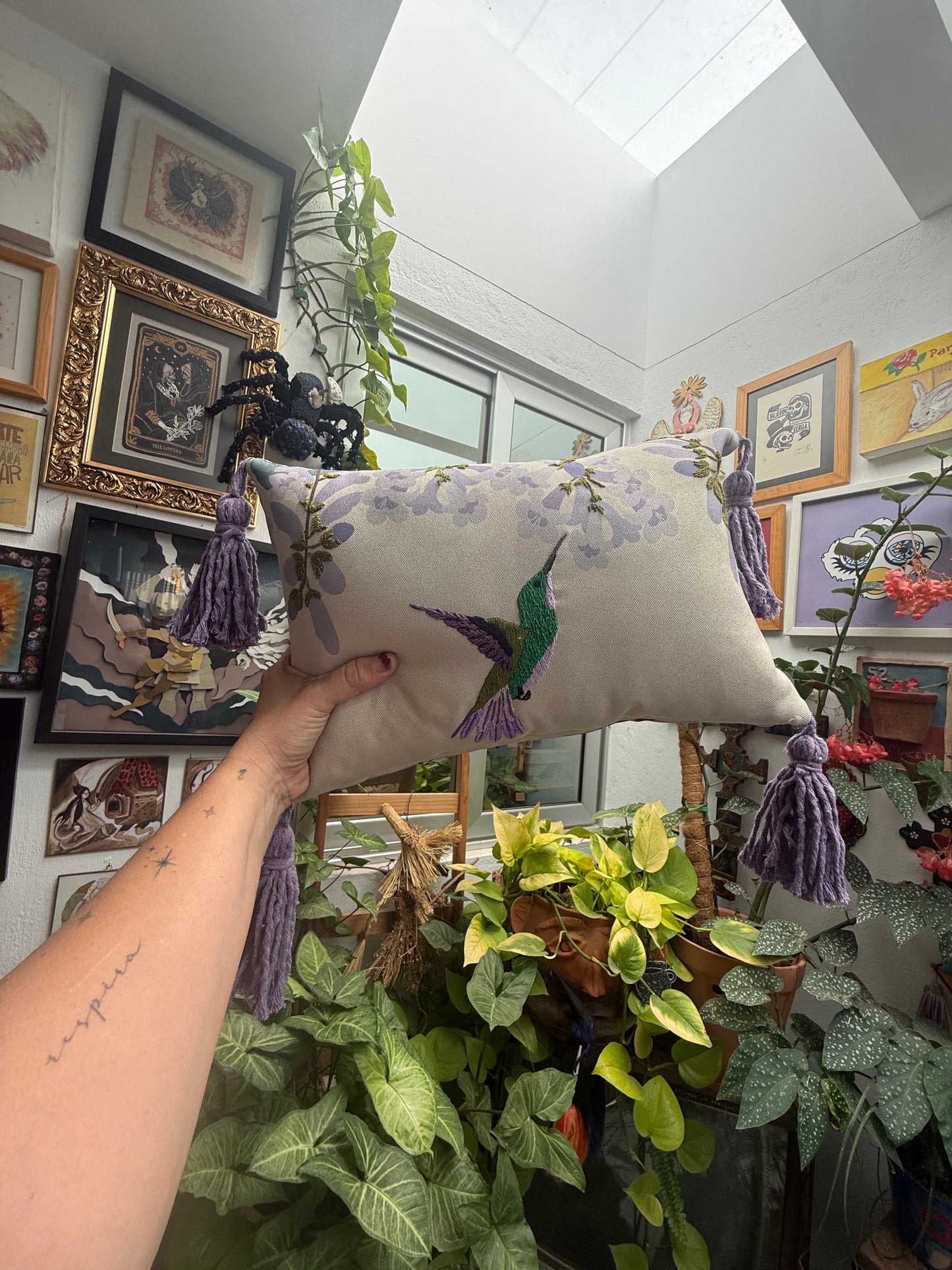 COLECCION PRIMAVERA