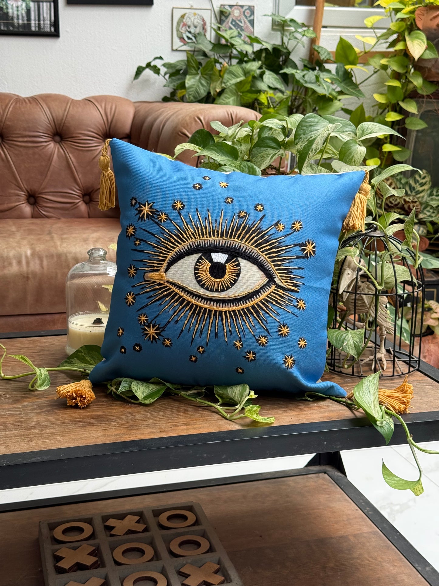 COJINES OJO